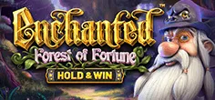 Enchanted: Forest Of Fortune