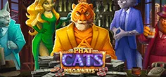Phat Cats Megaways
