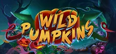 Wild Pumpkins